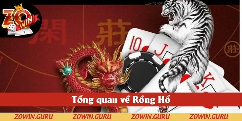Tổng quan về Rồng Hổ Zowin